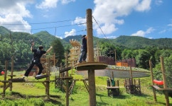숲나들e - |