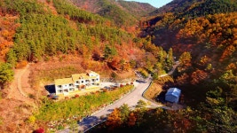 산림청 국립속리산말티재자연휴양림 - 숲갤러리 |