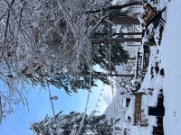 서울근교 숲속 캠핑장/글램핑장/펜션 춘천숲자연휴양림