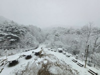 산림청 국립대야산자연휴양림