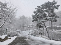 산림청 국립대야산자연휴양림 - 숲갤러리 |