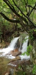 금원산자연휴양림 - |