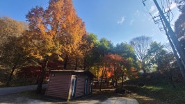 문성자연휴양림 - |