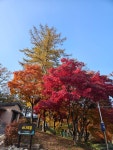 봉황자연휴양림 - 숲갤러리 |