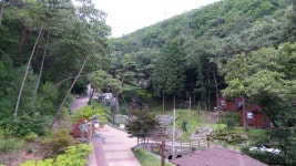 순천자연휴양림 - 자연휴양림안내 |