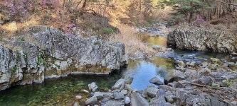 산림청 국립가리왕산자연휴양림