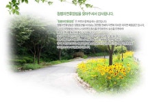 청평자연휴양림 - 자연휴양림안내 |