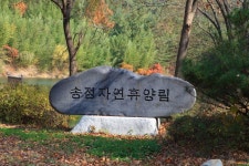 송정자연휴양림 - 자연휴양림안내 |