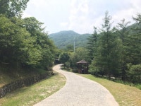 봉황자연휴양림
