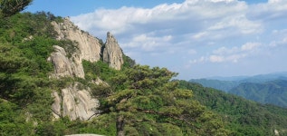 산림청 국립용화산자연휴양림
