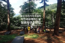청평자연휴양림