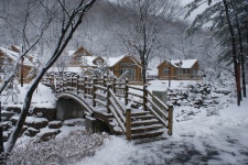 용인자연휴양림 - 자연휴양림안내 |
