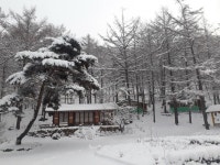 양평설매재자연휴양림