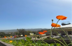 강화자연휴양림 - 자연휴양림안내 |