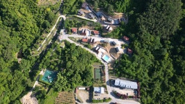 구례 산수유자연휴양림