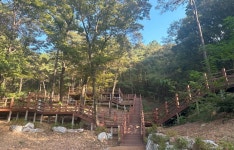 무봉산자연휴양림 - 자연휴양림안내 |