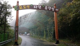 오도산자연휴양림