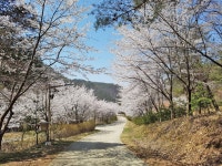 산림청 국립용현자연휴양림 - 자연휴양림안내 |