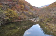 용추자연휴양림 - 자연휴양림안내 |