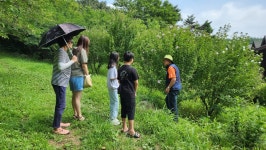 산림청 국립오서산자연휴양림 - |