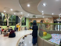 산림청 국립유명산자연휴양림 - |
