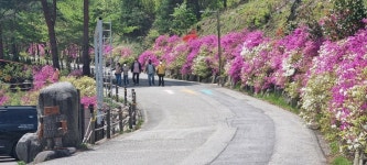 산림청 국립검봉산자연휴양림 - |