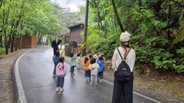 산림청 국립가리왕산자연휴양림 - |