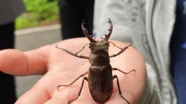 산림청 국립산음자연휴양림 - 프로그램 |