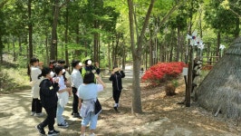 산림청 국립남해편백자연휴양림 - |