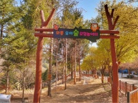 장수군 와룡자연휴양림 - 레포츠시설 |