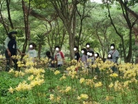 산림청 국립용현자연휴양림 - |