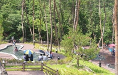 속리산숲체험휴양마을 - |