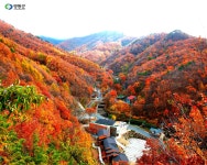 민주지산자연휴양림 - 프로그램 |