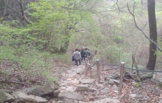 자연에서 쉬어가요! 고대산자연휴양림 - 프로그램 |