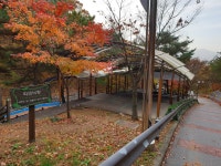송정자연휴양림 - |