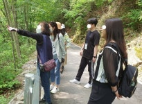 산림청 국립미천골자연휴양림 - |