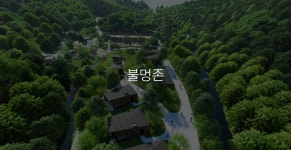 수락산 동막골 자연휴양림 - 프로그램 |