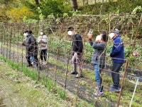 산림청 국립검봉산자연휴양림 - 프로그램 |