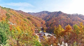 숲나들e - 예약신청내역 |