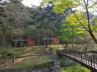 성주산자연휴양림 - |