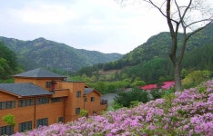 숲나들e - 여행정보 |
