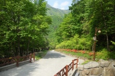 산림청 국립운문산자연휴양림 - |