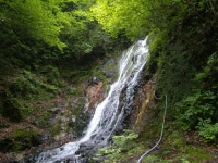 산림청 국립미천골자연휴양림 - |