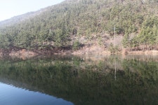 산림청 국립희리산해송자연휴양림 - |