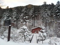 산림청 국립덕유산자연휴양림 - |