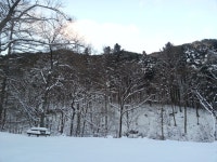 산림청 국립덕유산자연휴양림 - |