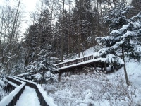 산림청 국립덕유산자연휴양림 - |