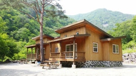 산림청 국립두타산자연휴양림 - |