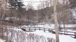 산림청 국립유명산자연휴양림 - |