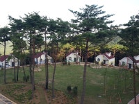숲나들e - |